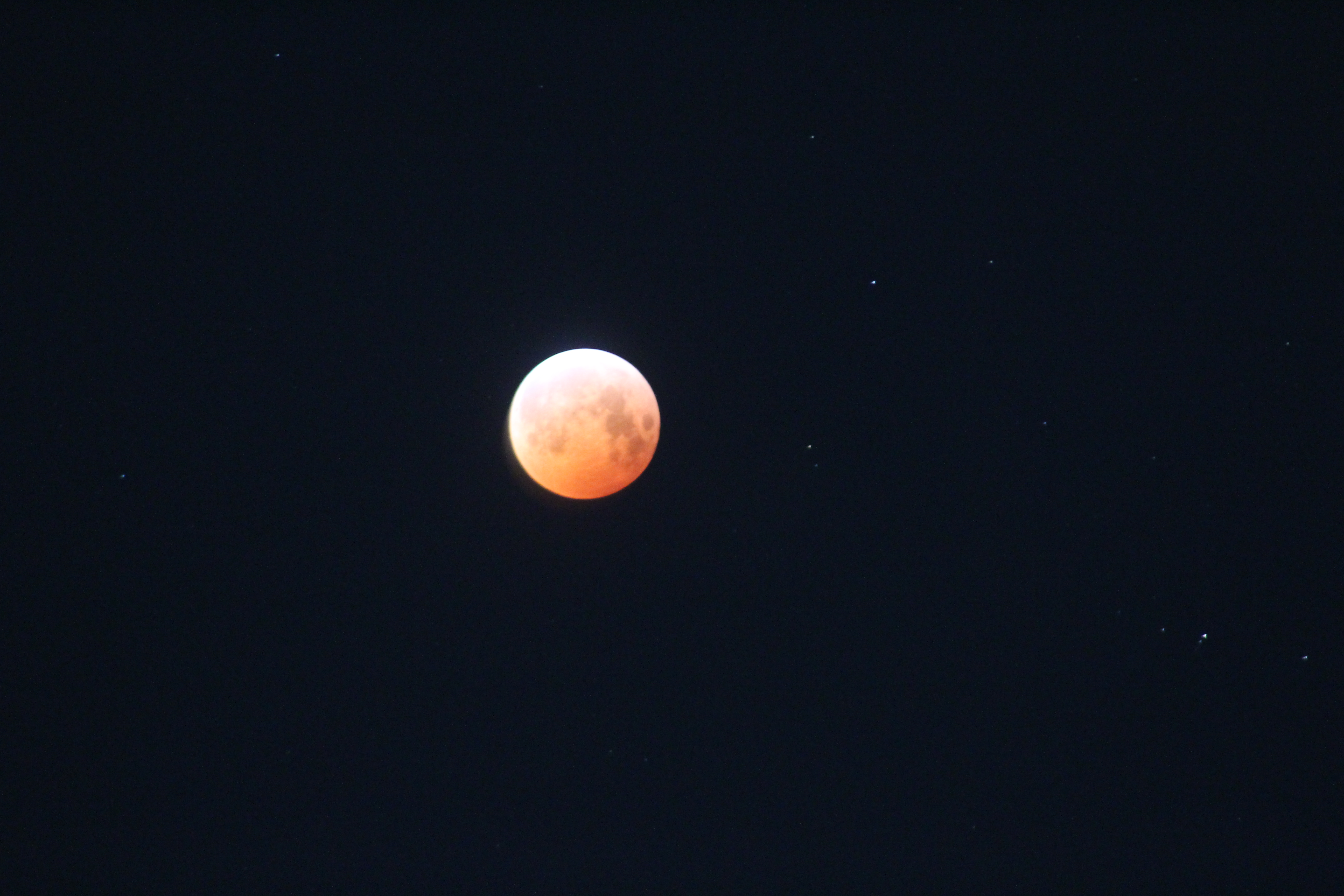 Image of a dark night sky with a orange-coloured full moon (total lunar eclipse) visible along with some pinpoint-sized white stars